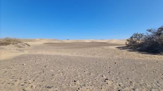 2023-GC--Mapalomas dunas-S123-163.jpg